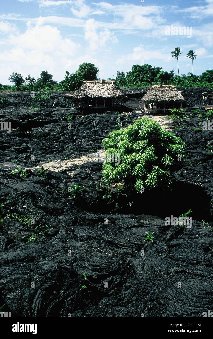 Traditional thatched huts stand on black volcanic rock on the island of ...