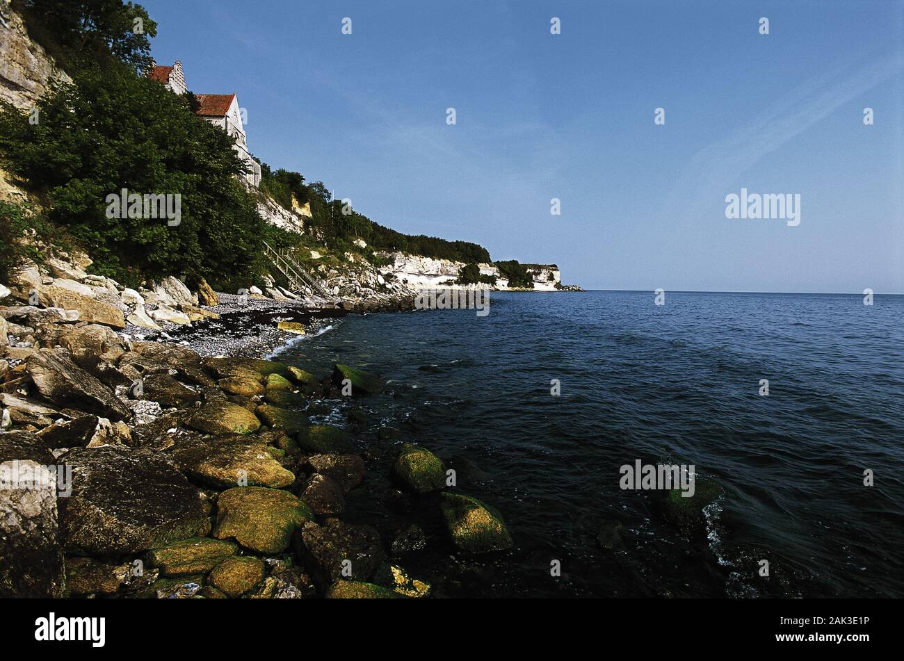 View of the chalk cliff Stevns Klint at the coast of the Baltic Sea of the island of Sealand (Sjaeland) near Hoejerup in Denmark. On the top of the cl Stock Photo