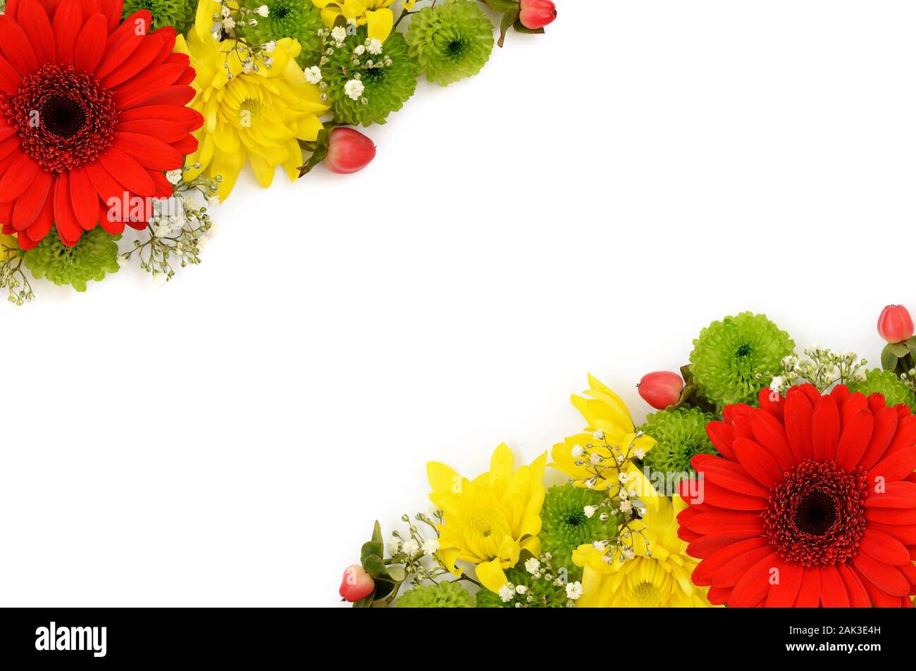 Yellow, red and green flowers corner arrangement on white background. Flat  lay. Top view Stock Photo - Alamy