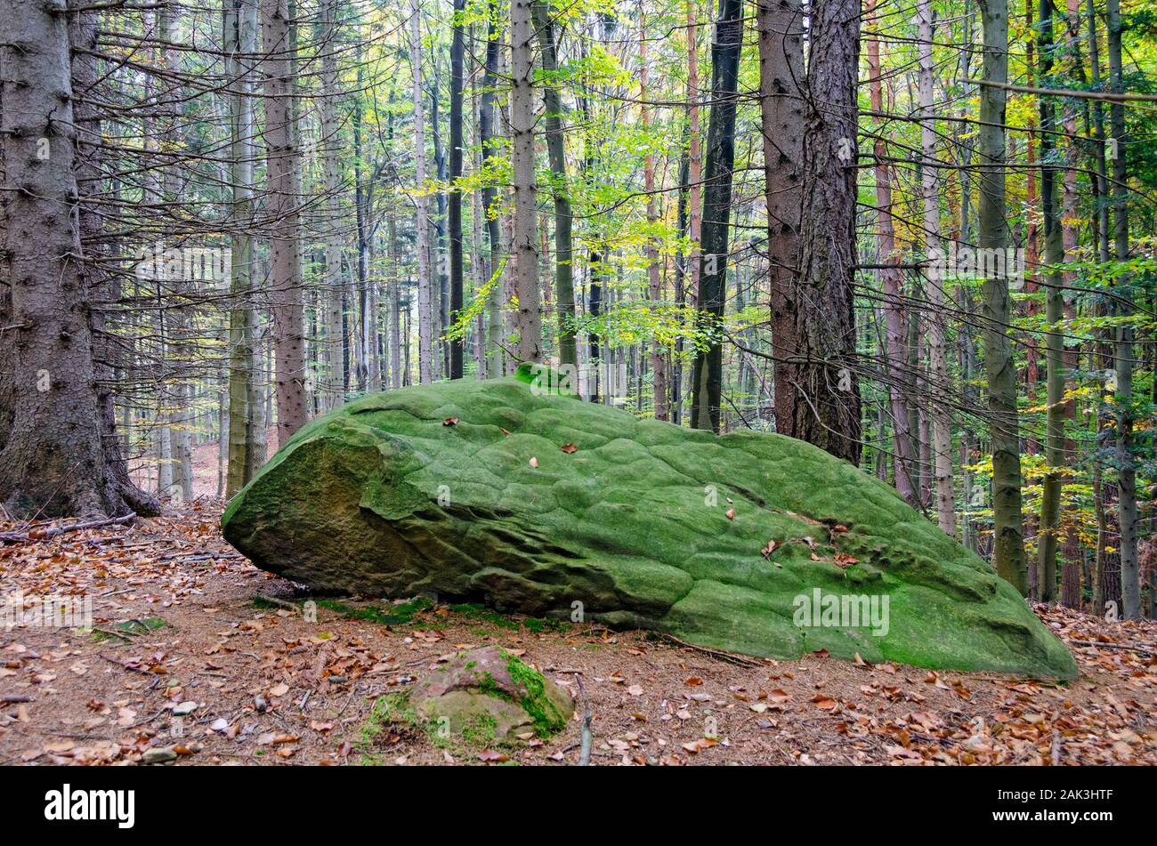 Furrows green hi-res stock photography and images - Alamy