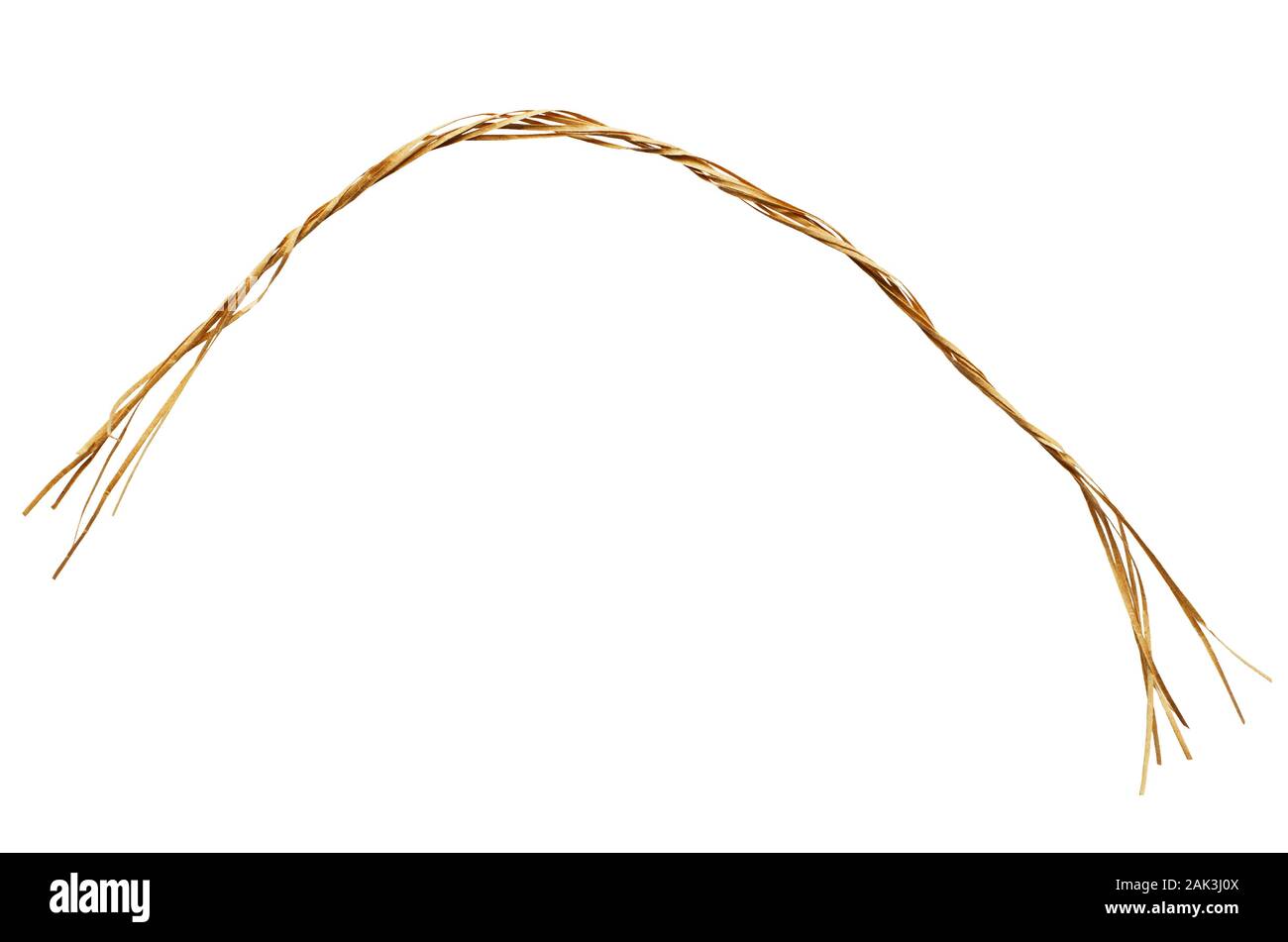 Closeup of raffia rope isolated on white Stock Photo