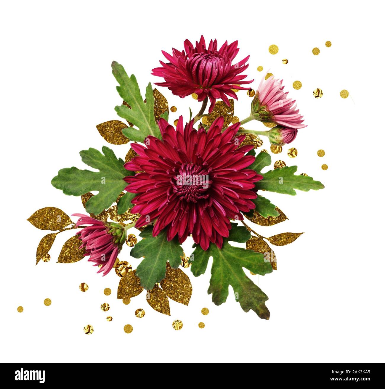 Autumn aster flowers arrangement with golden textured leaves isolated on white Stock Photo