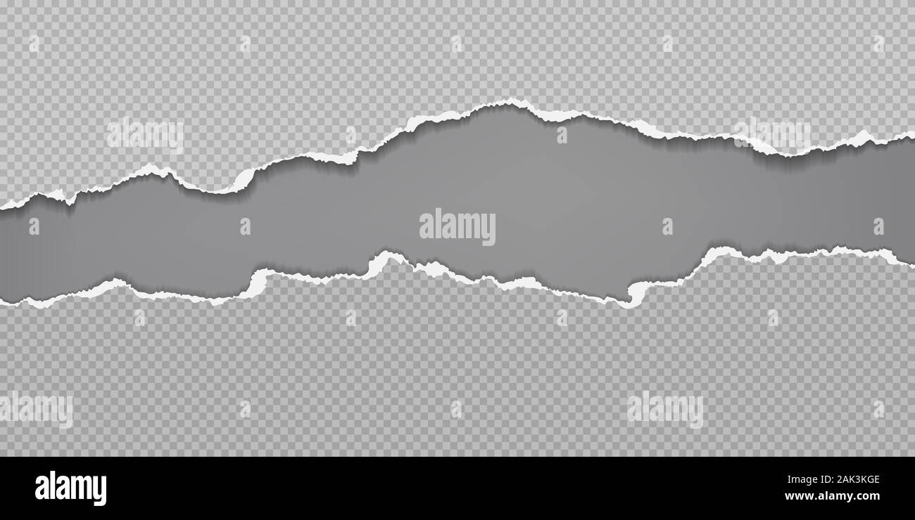 Pieces of torn horizontal squared paper pieces with soft shadow are on ...