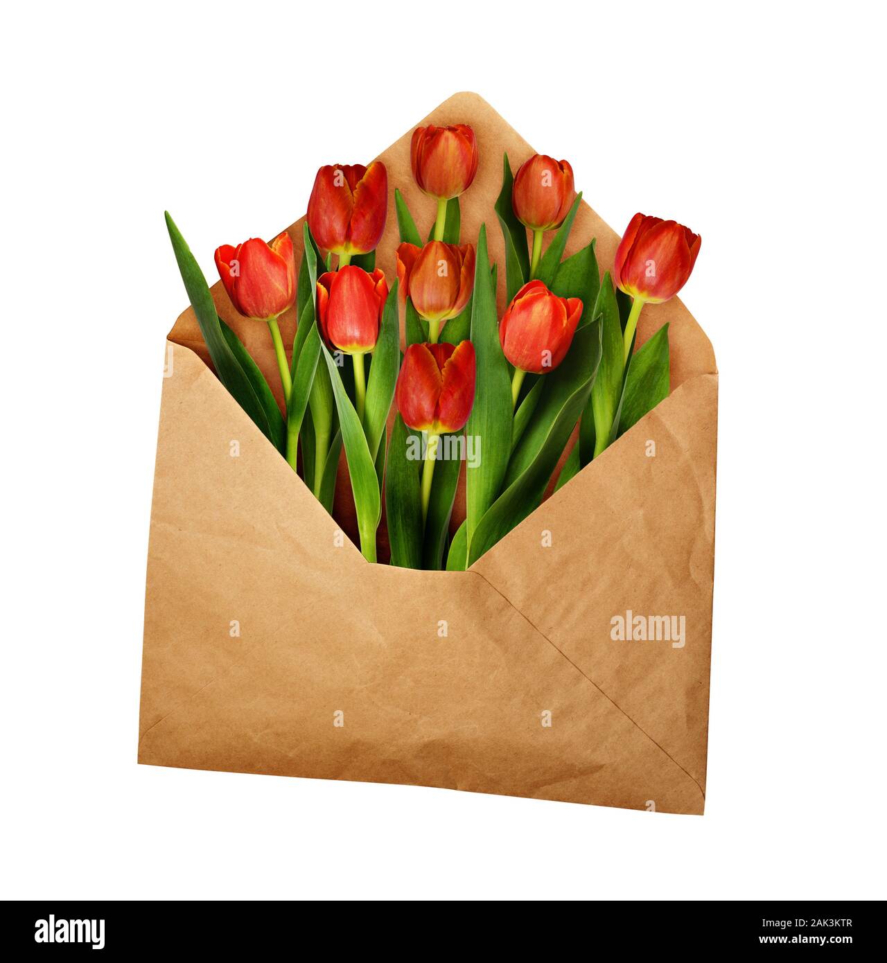 orange tulip bouquet wrapped in brown paper with pencils, …