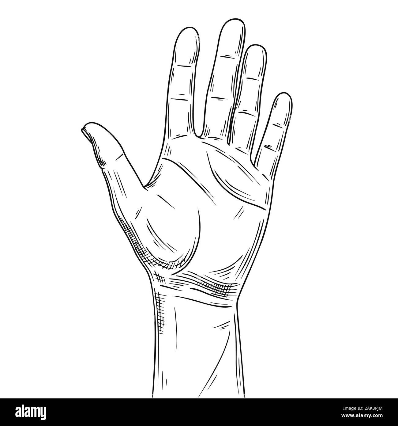 Sketch of counting hand isolated on white background. Open palm showing number five. Vector illustration Stock Vector
