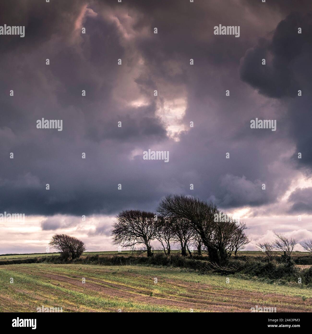 Thunder storm building over farmland in Cornwall. Stock Photo