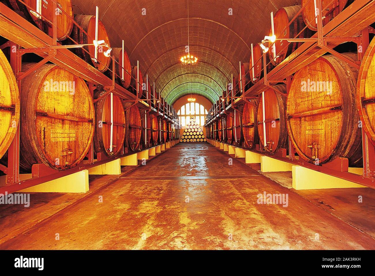 A look into the brandy cathedral with the big barrels, Paarl, South Africa. (undated picture) | usage worldwide Stock Photo