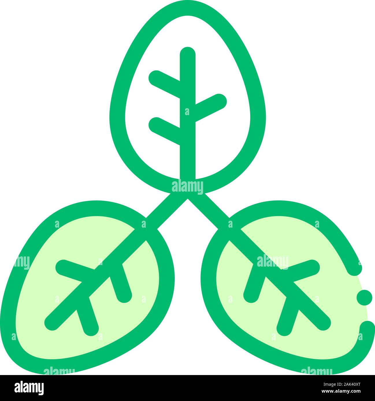 Bush Offshoot Plant Leaves Vector Thin Line Icon Stock Vector