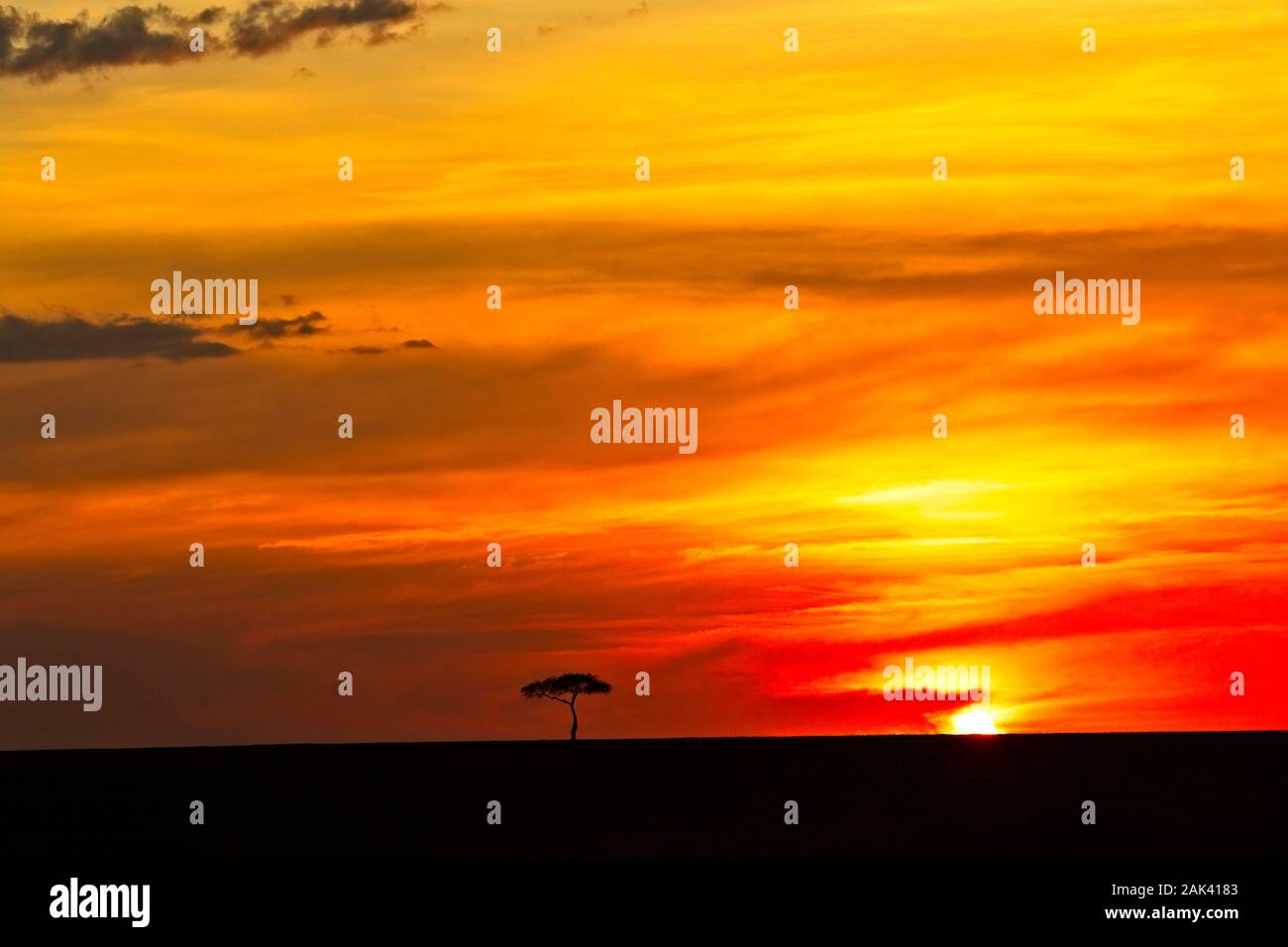 Maasai mara kenya landscape sunset hi-res stock photography and images ...