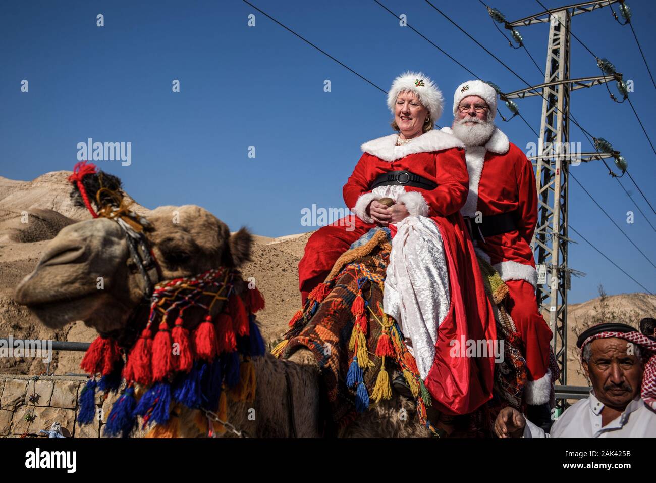 Dressed Up Camel High Resolution Stock Photography And Images Alamy