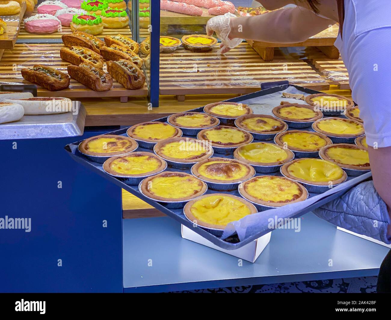Baker arranging freshbaked egg tarts into showcase at bakery Stock Photo Alamy