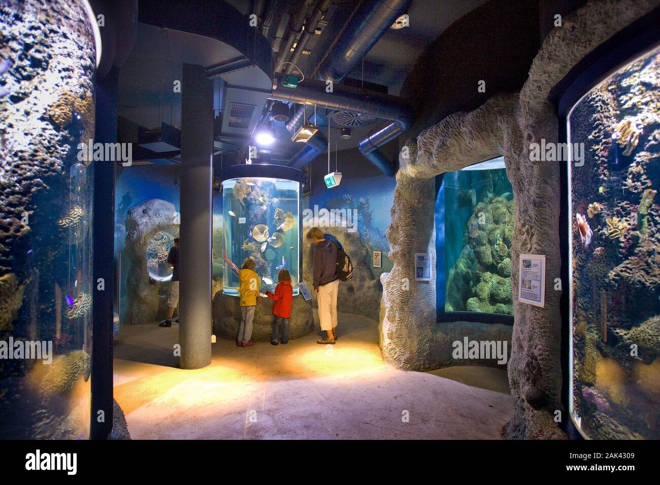 Aquarium in Westerland, Sylt, Nordfriesland, SchleswigHolstein