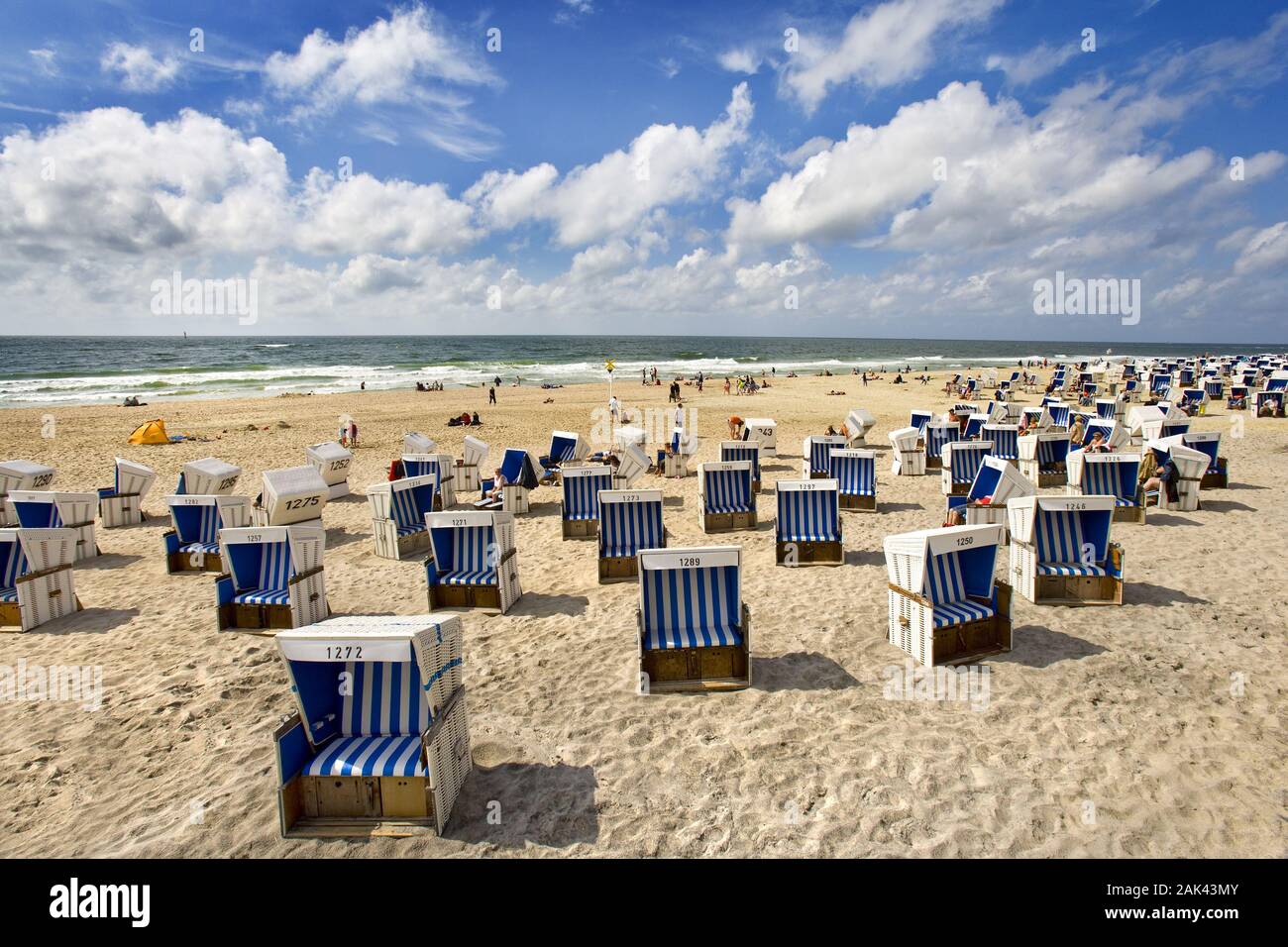 Strandkörbe am Strand von Westerland, Sylt, Nordfriesland, Schleswig