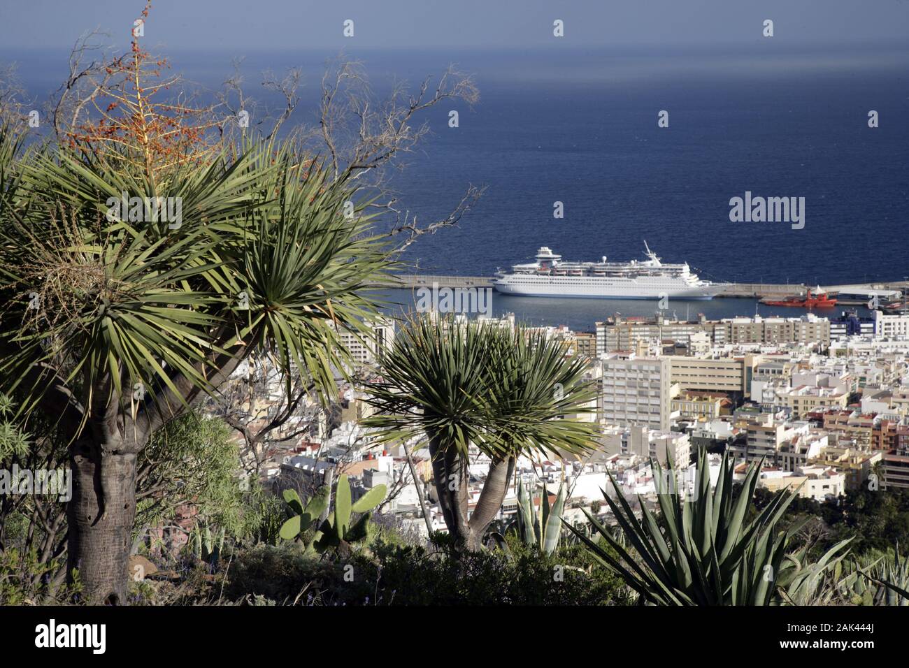 arbeiten auf teneriffa