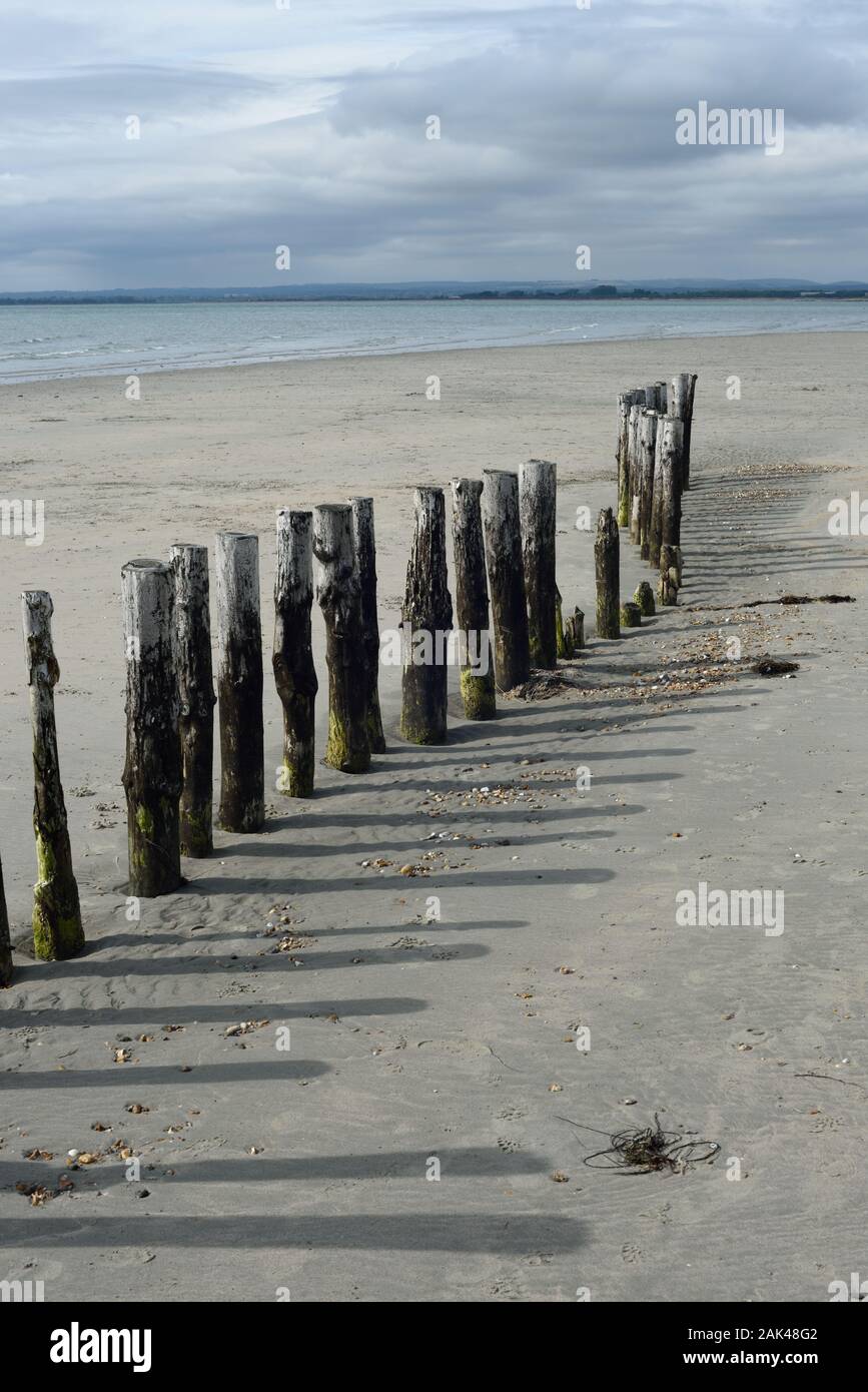 Pilings on a beach at West Wittering Stock Photo