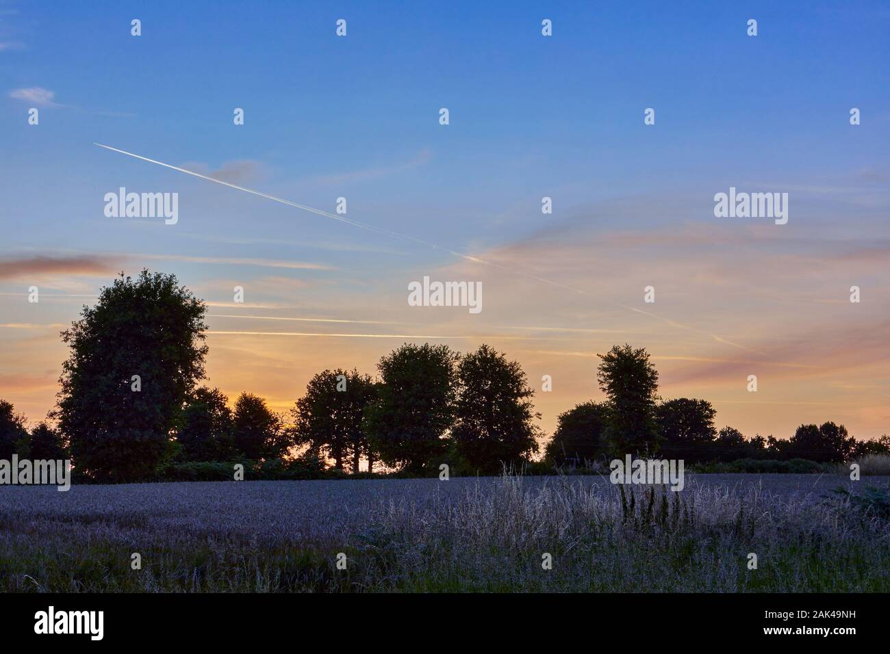 Image of an agricultural filed at sunset, Brittany, France Stock Photo