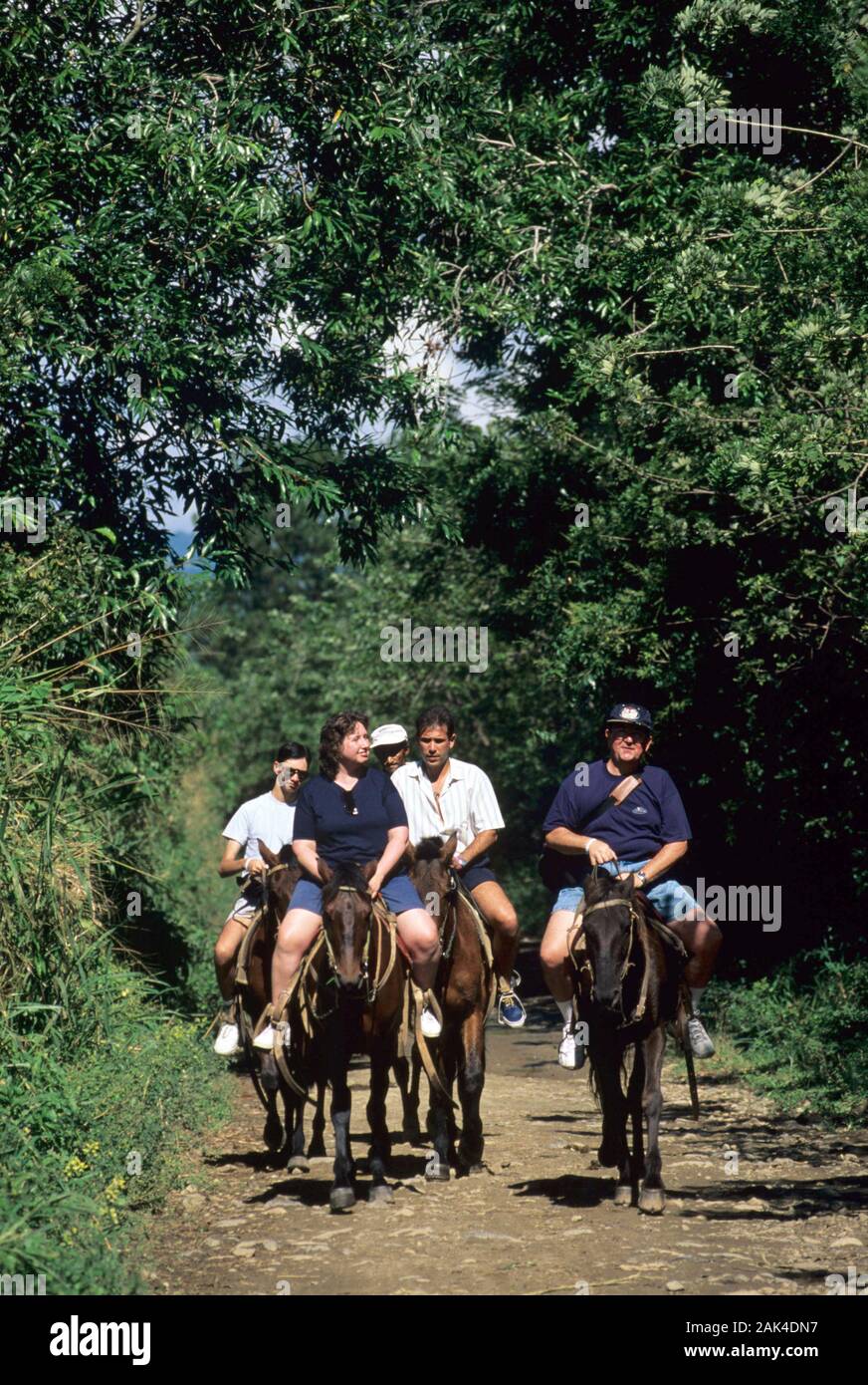 Dominican Republic - horse ride in the highlands | usage worldwide Stock Photo