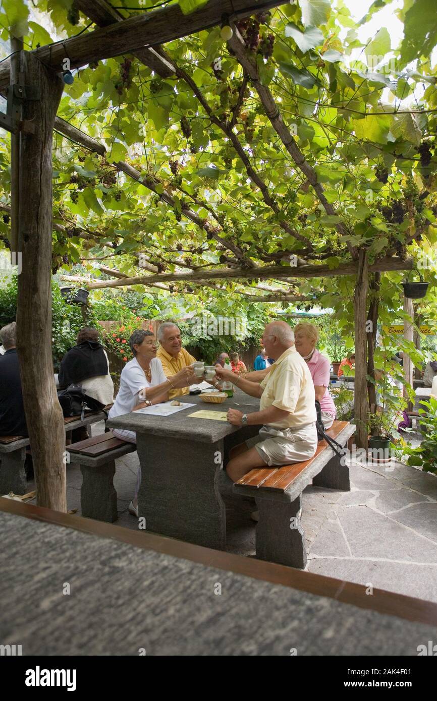 Two women and two men in an outdoor sitting area under a grapes-pergola  clink their wine cups (Tazzino), canton Ticino, Switzerland. (Undated  picture Stock Photo - Alamy