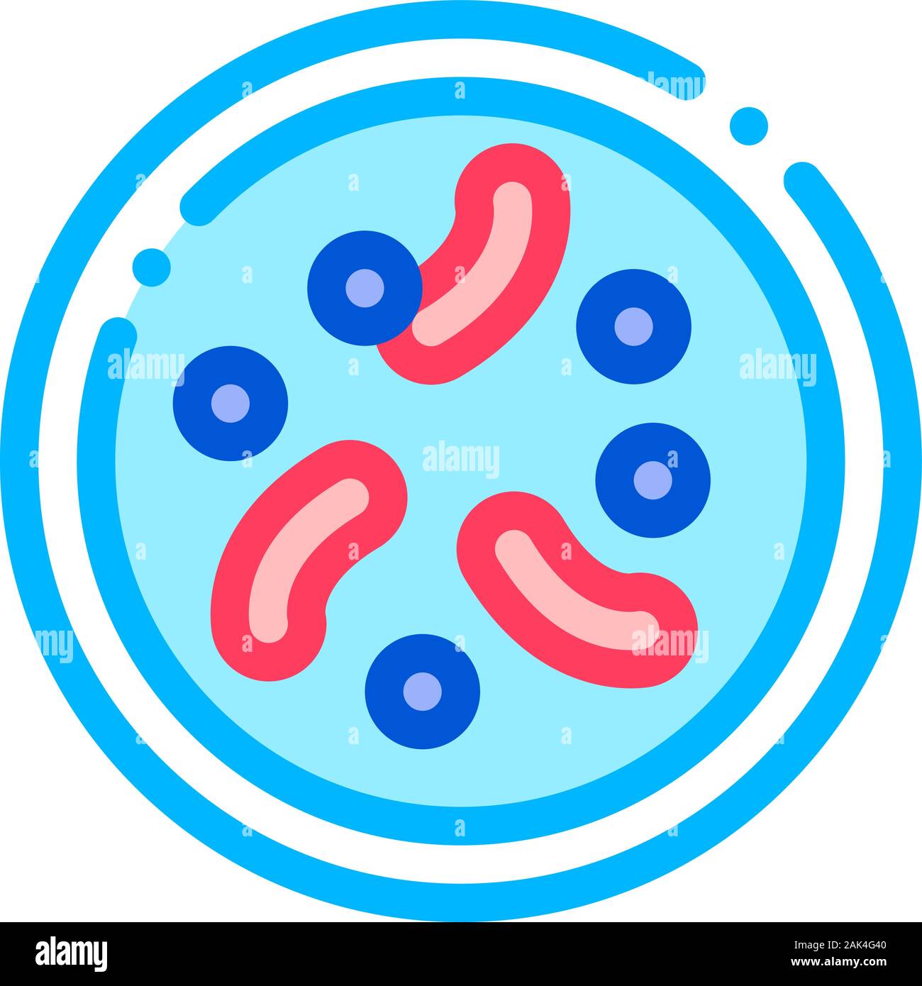 Syphilis bacteria cell hi-res stock photography and images - Alamy