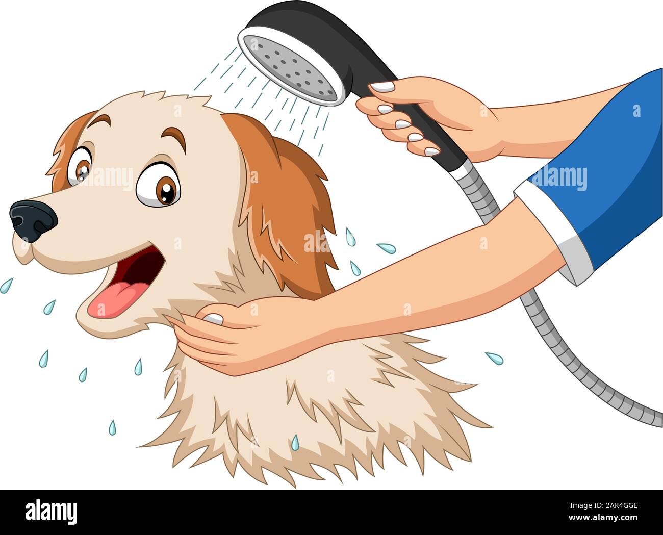 Cartoon dog bathing with shower Stock Vector
