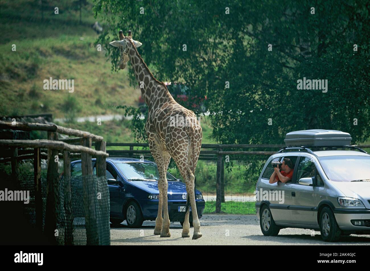 Parco natura viva hi-res stock photography and images - Alamy