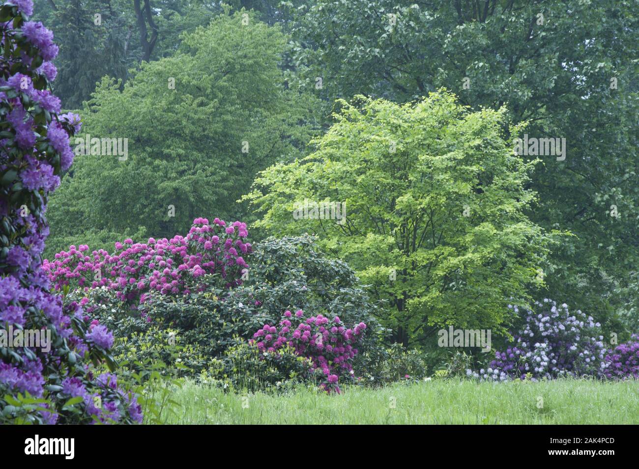 Botanischer Garten in Meise, Flandern usage worldwide Stock Photo Alamy