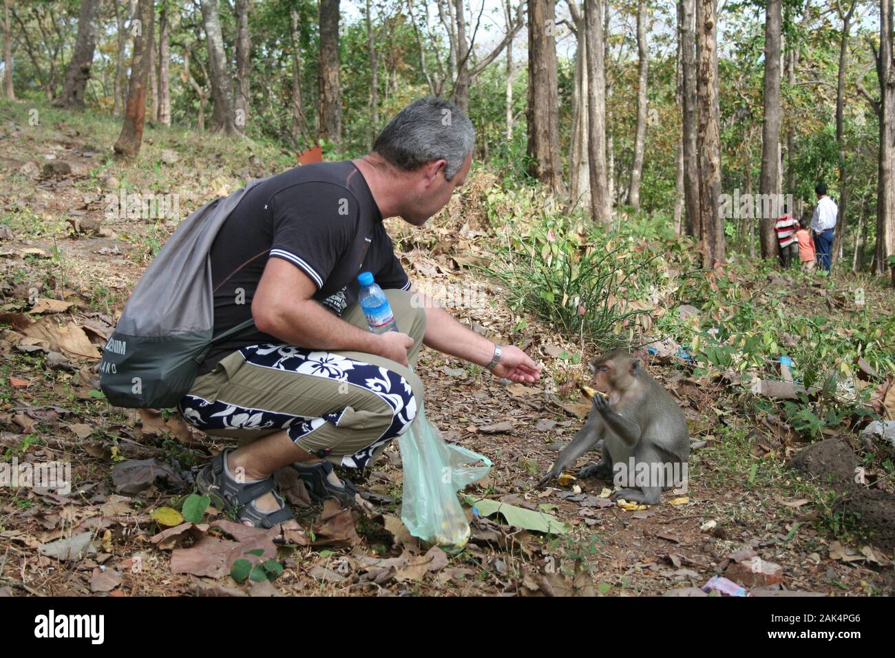 Man feeds monkey bananas hi-res stock photography and images - Alamy