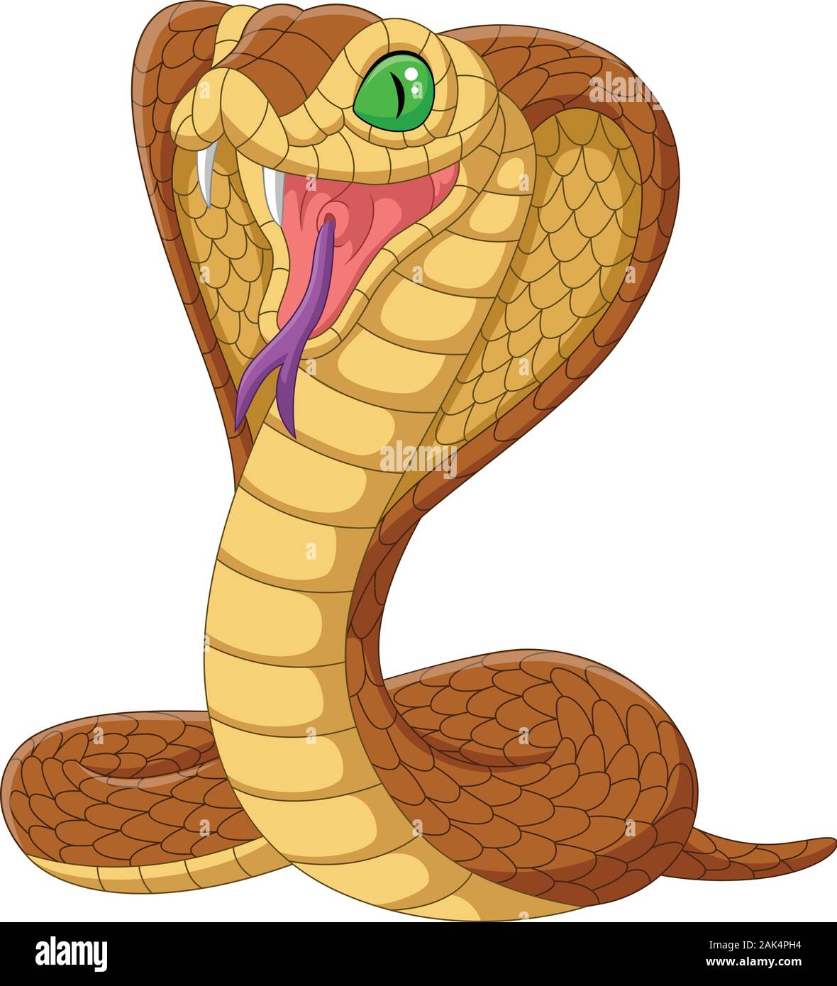 Cartoon king cobra snake on white background Stock Vector Image & Art -  Alamy