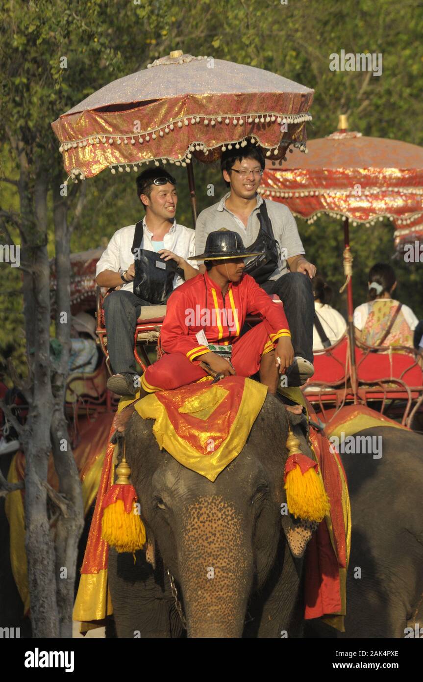 Ayutthaya: Touristen reiten auf Elefanten im Phra Ram Park, Thailand | usage worldwide Stock Photo