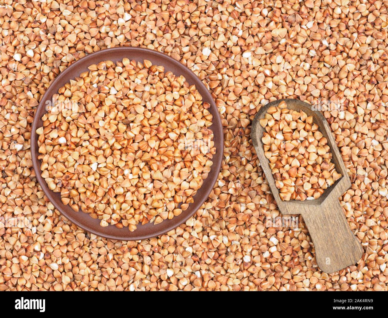 Clay plate with buckwheat groats and wooden shovel on buckwheat background. Healthy eating