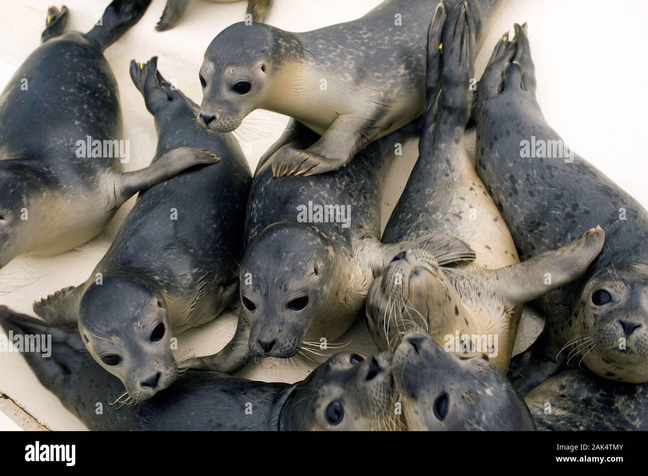 Norden Norddeich Stock Photos Norden Norddeich Stock Images Alamy