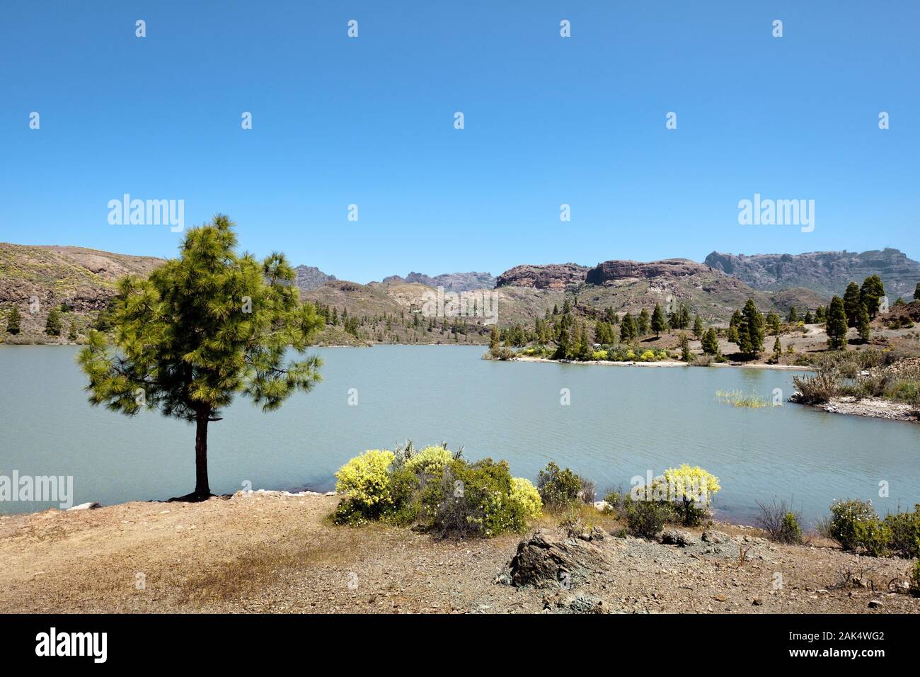 Stausee bei Presa de Chira, Gran Canaria | usage worldwide Stock Photo