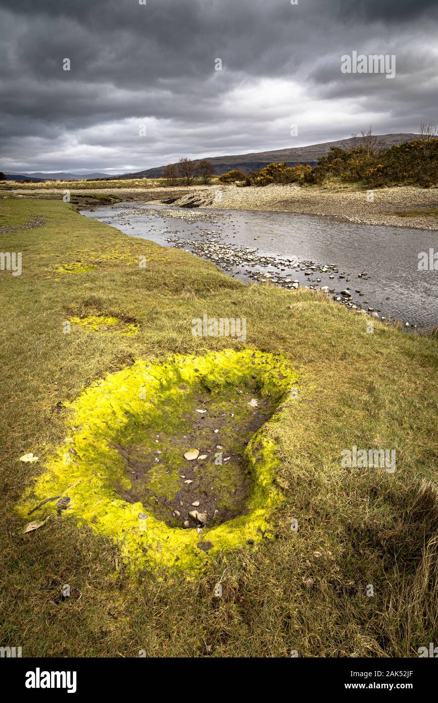 Machair at Garmony Point on the Isle of Mull. Stock Photo