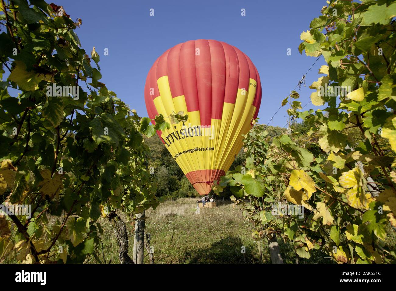Ballon in den Weinbergen bei Riquewihr, Elsass    *** Local Caption *** Auswahl Stefan Scholtz fuer MaPo | usage worldwide Stock Photo