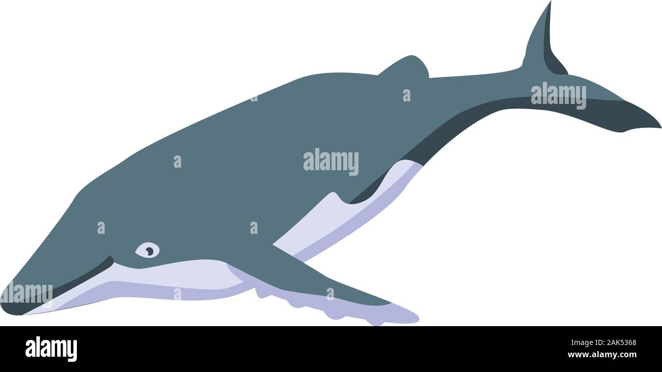 Old whale icon, isometric style Stock Vector