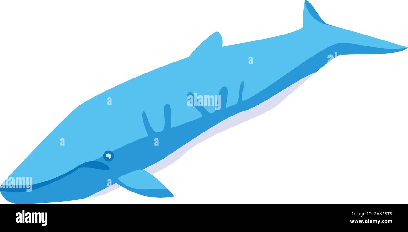 Marine whale icon, isometric style Stock Vector