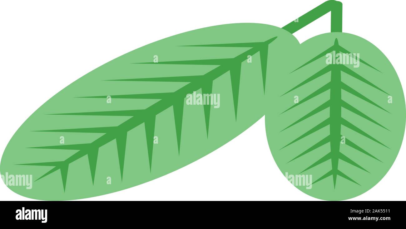 Peanut leafs icon, isometric style Stock Vector