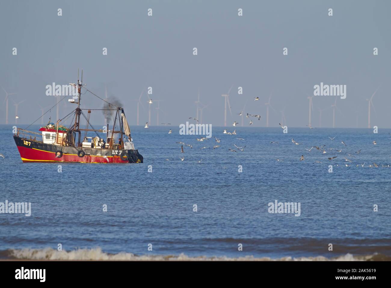 Fishing Boat with following gulls, with Sheringham shoal wind turbines in background,  Norfolk UK Stock Photo