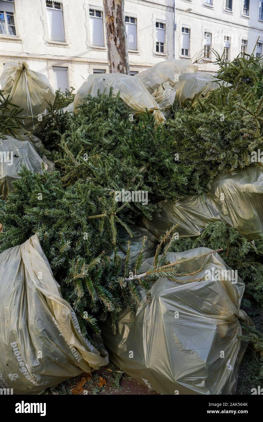 Composting christmas trees hires stock photography and images Alamy