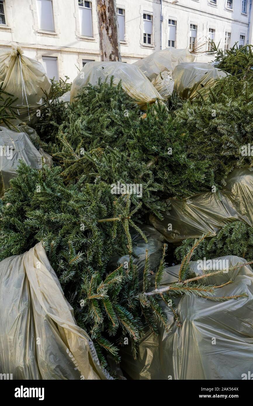 Composting christmas trees hires stock photography and images Alamy