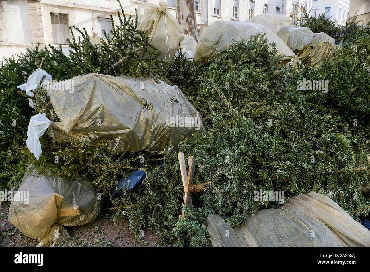 Composting christmas trees hires stock photography and images Alamy