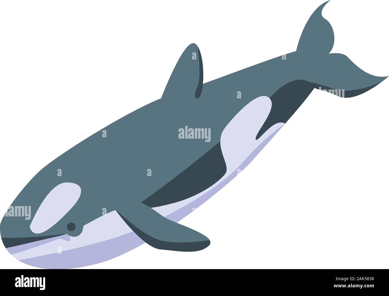 Orca whale icon, isometric style Stock Vector