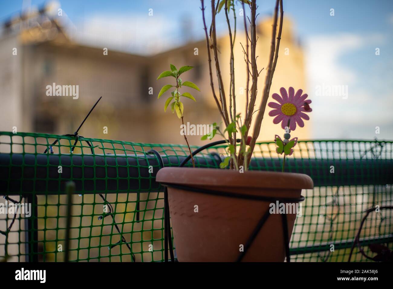 Colorful Toy Decorative Flower In A Balcony Pot And Green Protective Plastic Fence Selective Focus On Toy Out Of Focus Blurred Background Parentin Stock Photo Alamy