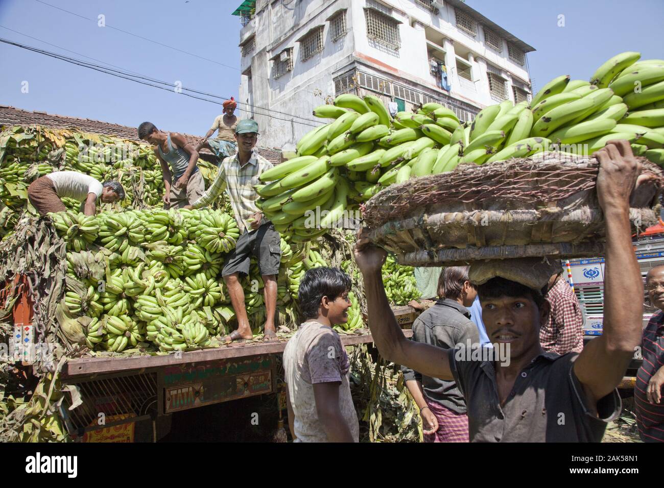 Bundesstaat Westbengalen: Versteigerung von Obst- und Gemuese auf dem Machua Bazar in Kolkata, Indien | usage worldwide Stock Photo
