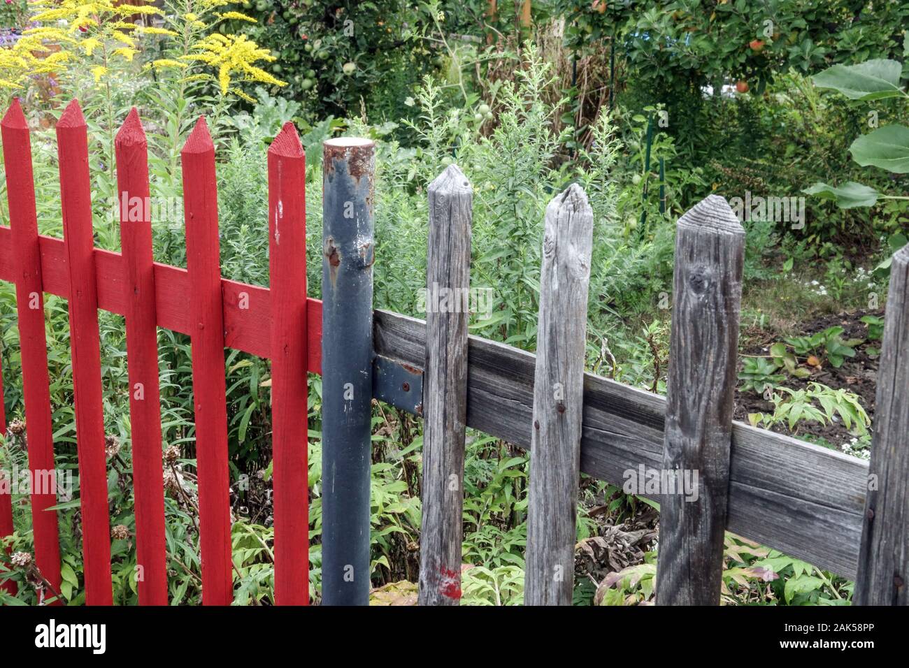 Painted and unpainted garden fence wooden fence garden Stock Photo