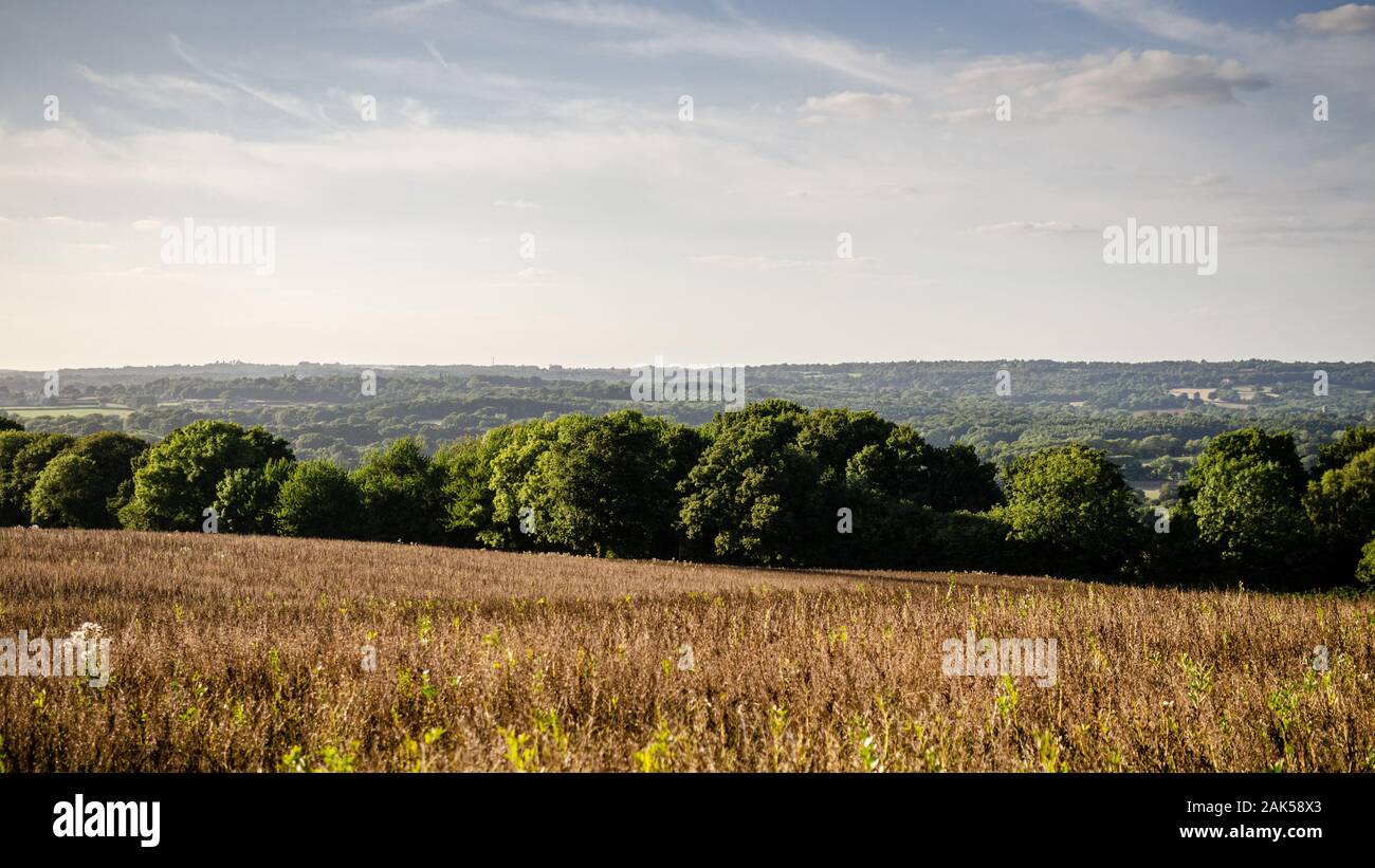 Farmland fields and scattered woodland fills the Uck Valley in the East Sussex Weald, viewed from Hadlow Down. Stock Photo