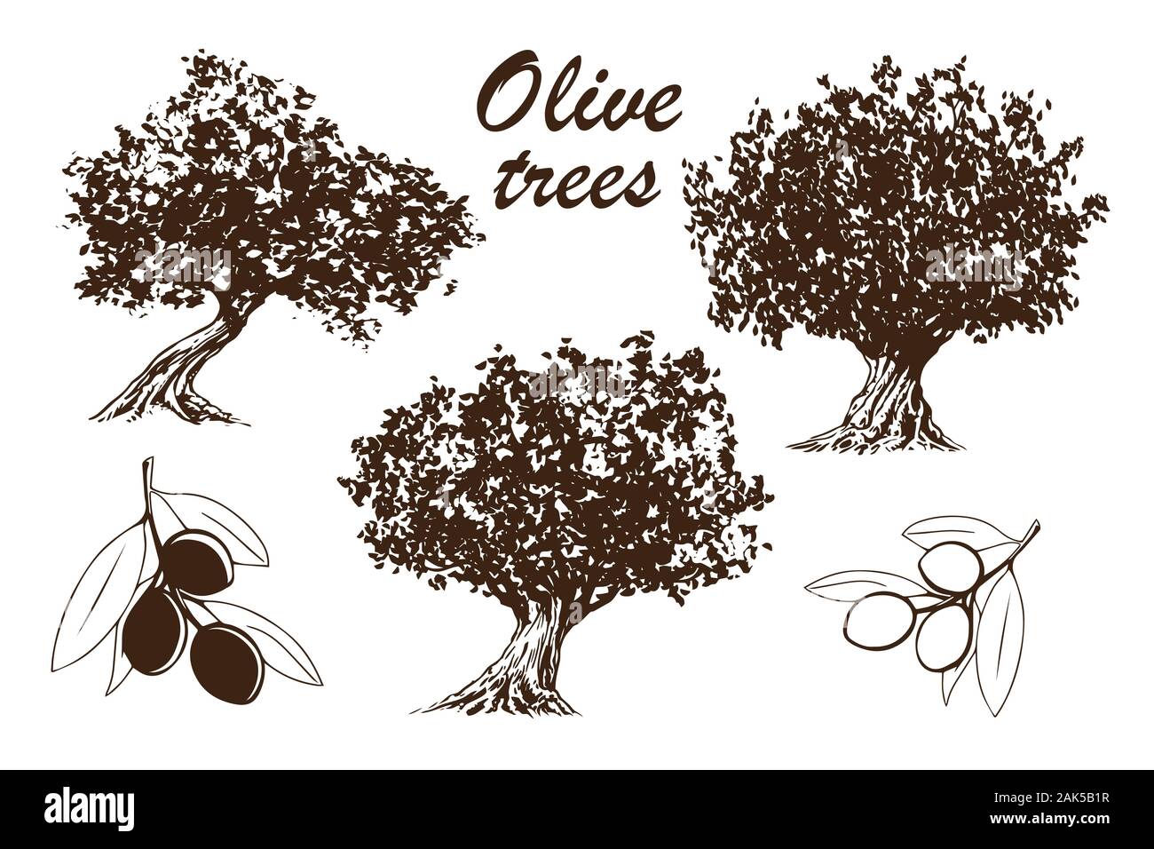 olive tree - set of hand drawn illustrations of trees and branches with olives - black and white drawing on white background (vector) Stock Vector