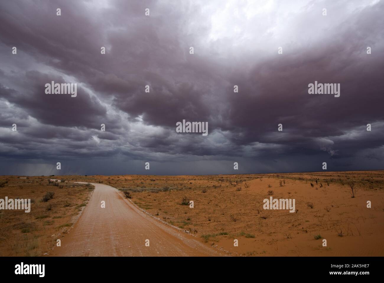 Kgalagadi Transfrontier National Park: Gewitterwolken ueber der Kalahari, Suedafrika | usage worldwide Stock Photo
