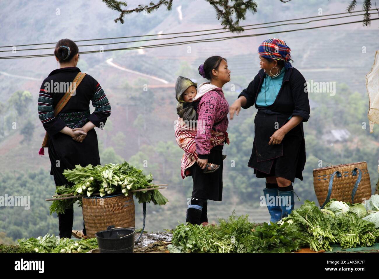 Provinz Lao Cai: Angehoerige vom Bergstamm der Schwarzen Hmong auf dem Weg von Lao Cai nach Sapa, Vietnam | usage worldwide Stock Photo