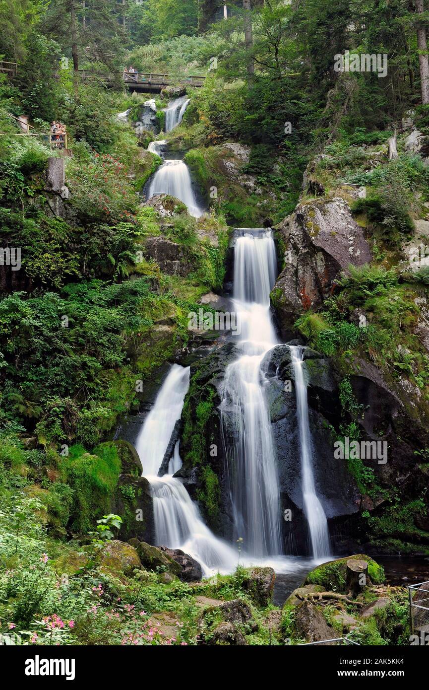 Die sieben Kaskaden der Triberger Wasserfaelle, Schwarzwald Sueden | usage worldwide Stock Photo